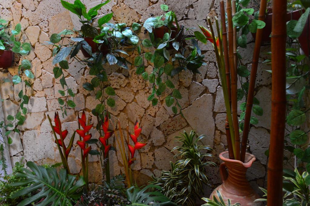 Hotel Torre Del Reloj Cartagena 외부 사진